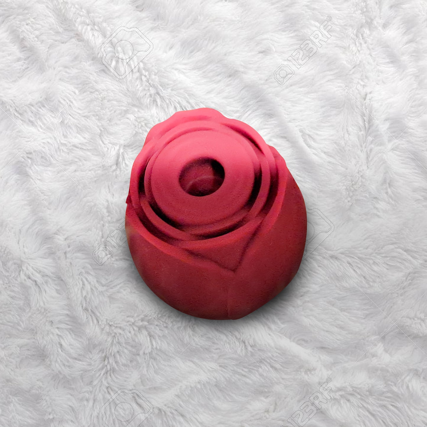 Enchanted Rose